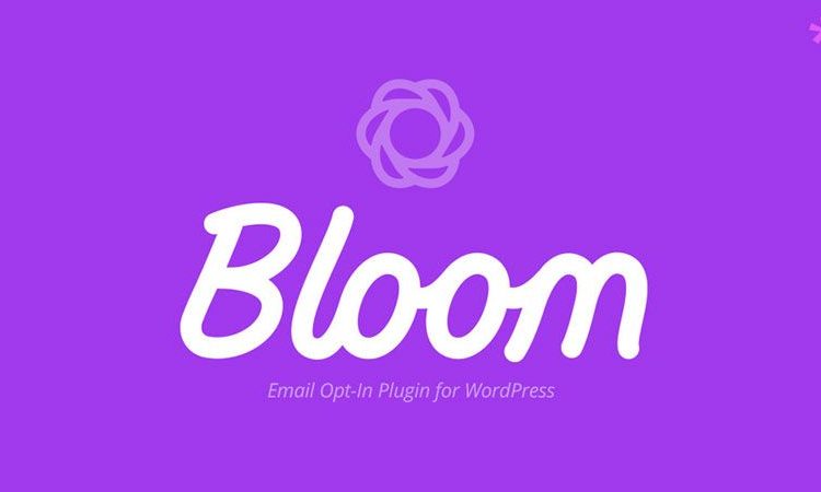bloom elegant theme
