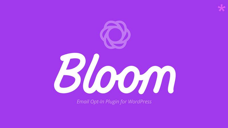 bloom elegant theme